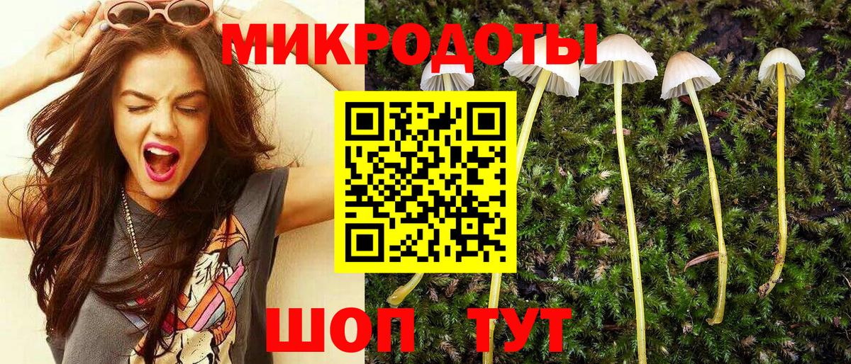 Галлюциногенные грибы Psilocybine cubensis Шумерля